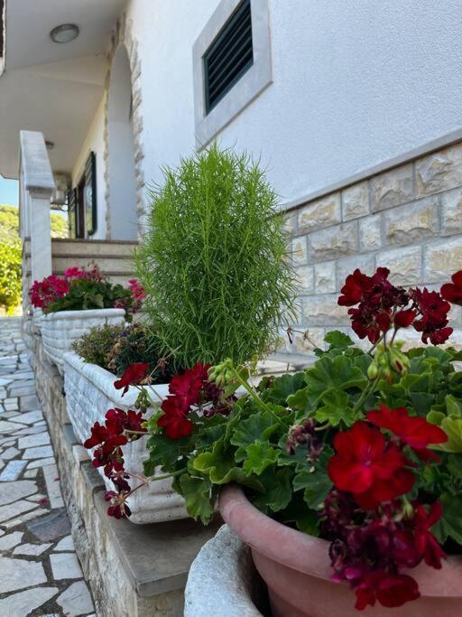 “snjezana” Apartment *